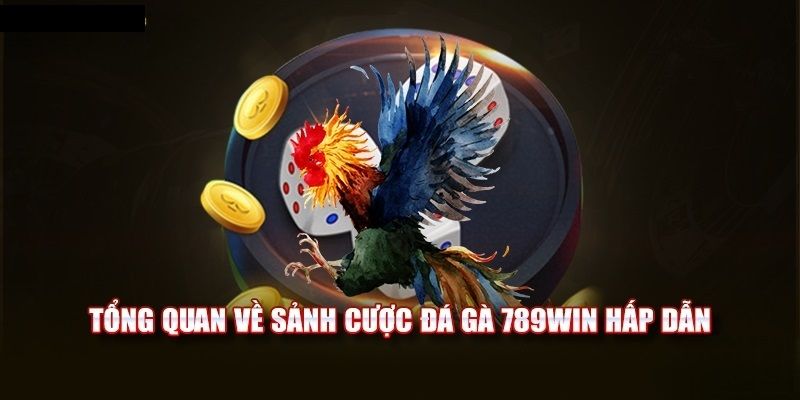 Các loại hình thi đấu có tại đá gà 789WIN