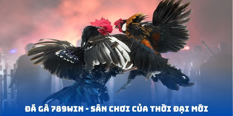 Hiểu hơn về chuyên mục đá gà 789WIN
