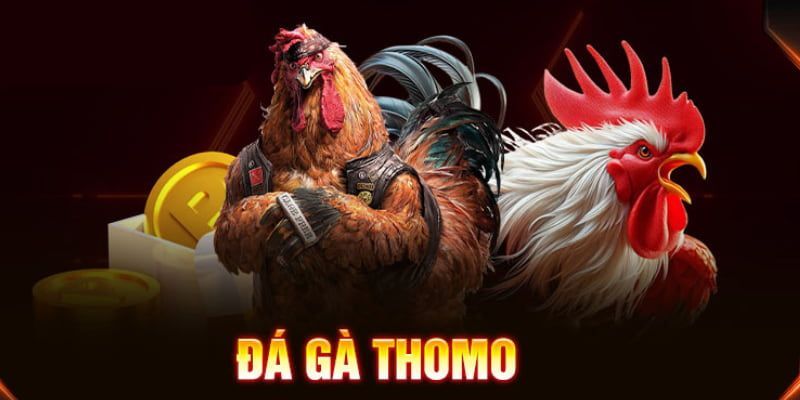 Tổng hợp luật chơi đá gà Thomo đầy đủ