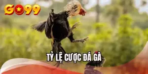 ty-le-cuoc-da-ga